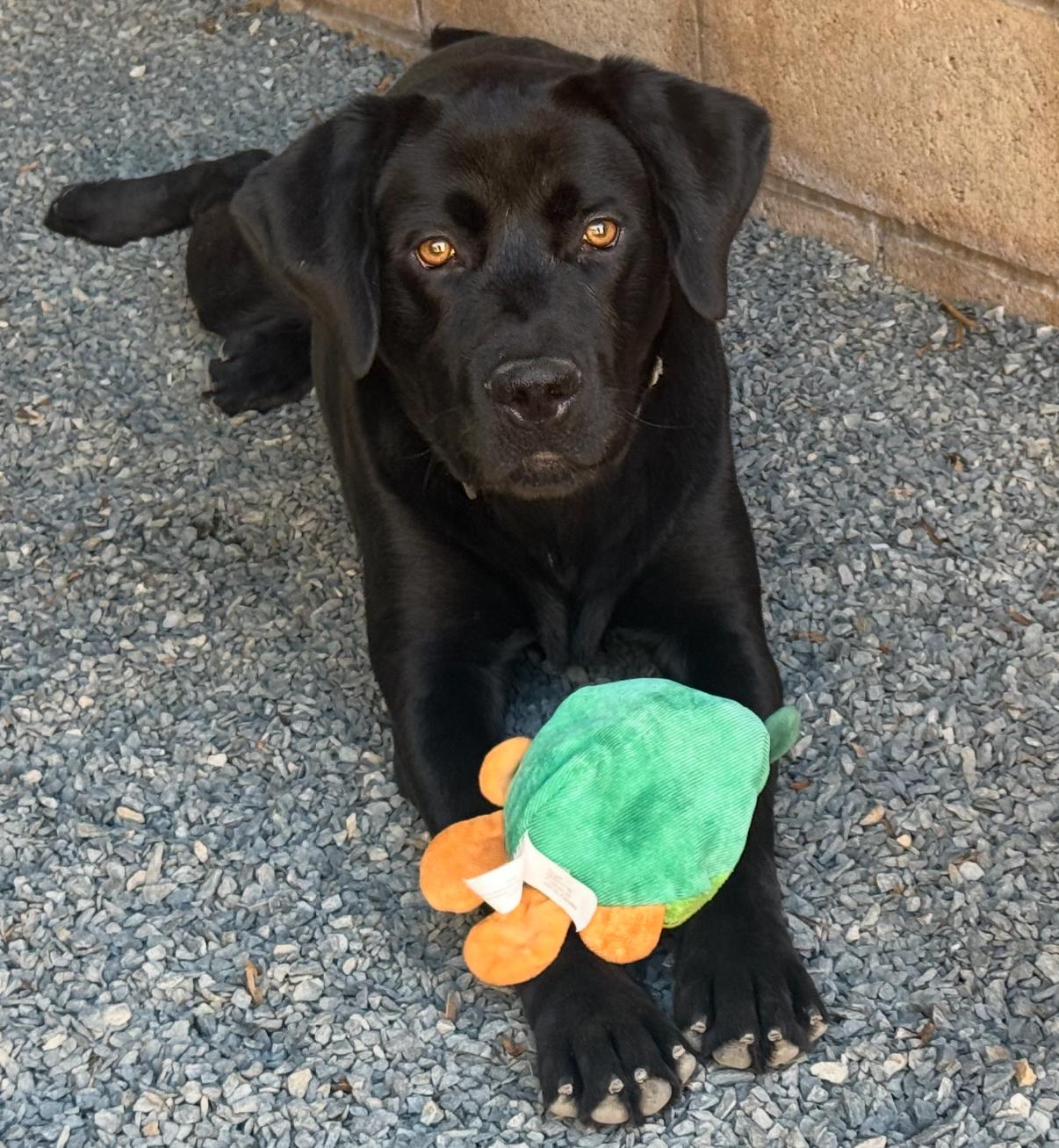 SAVE ME! I'm James - come meet me! photo 4