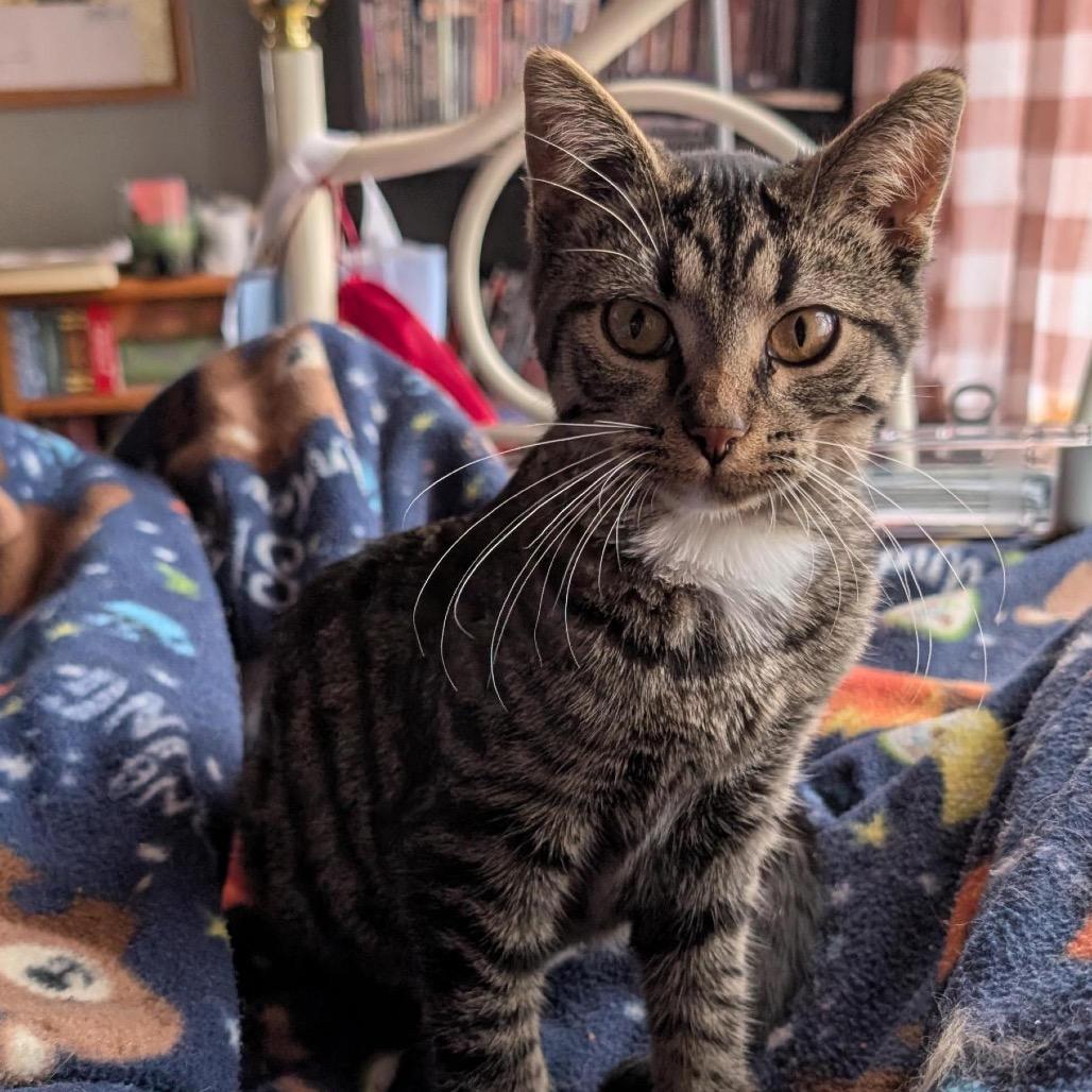 Baby — thumbnail 4