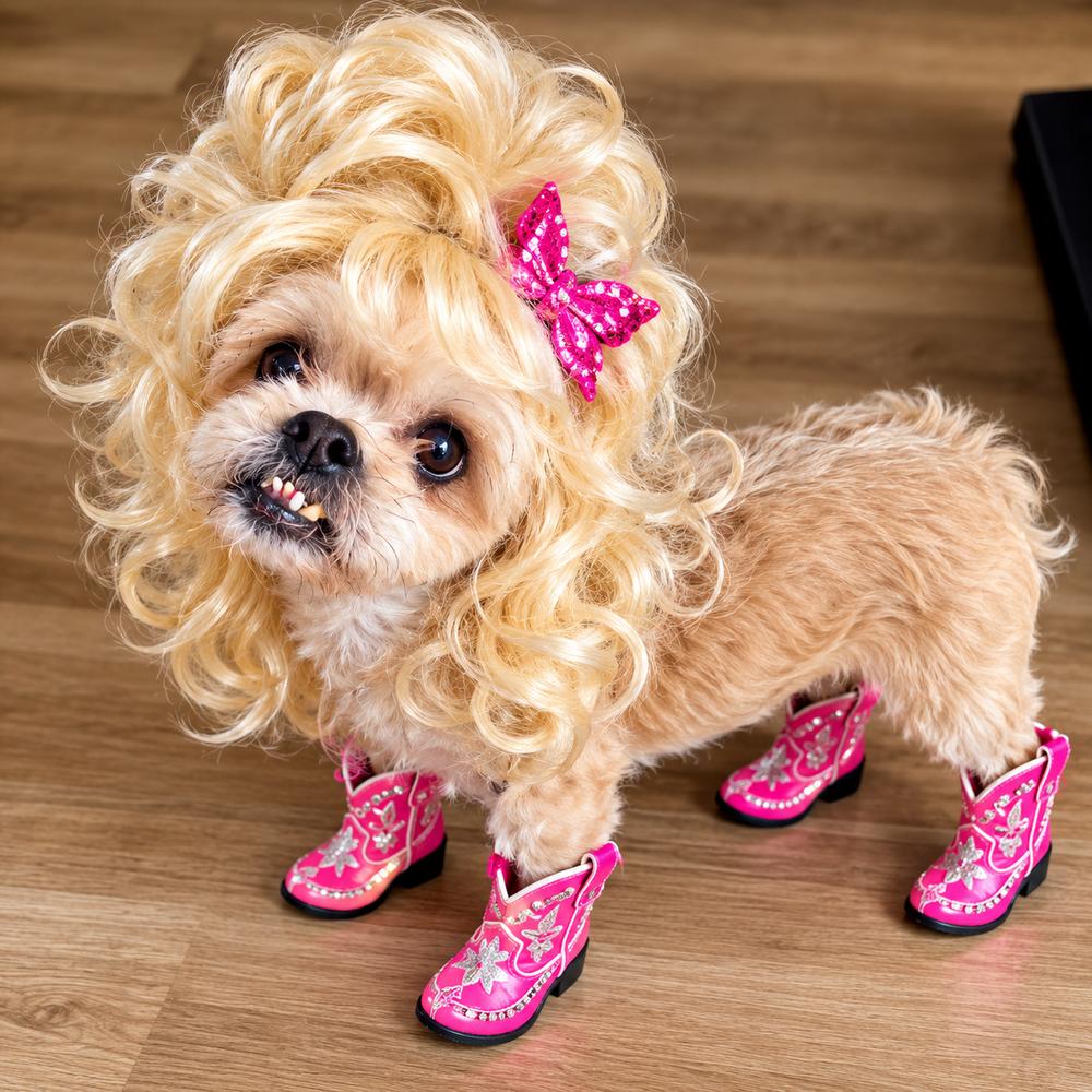 Enlarge Dolly Pawton, a Adoptable mixed breed in Winter Garden, FL image 4/4