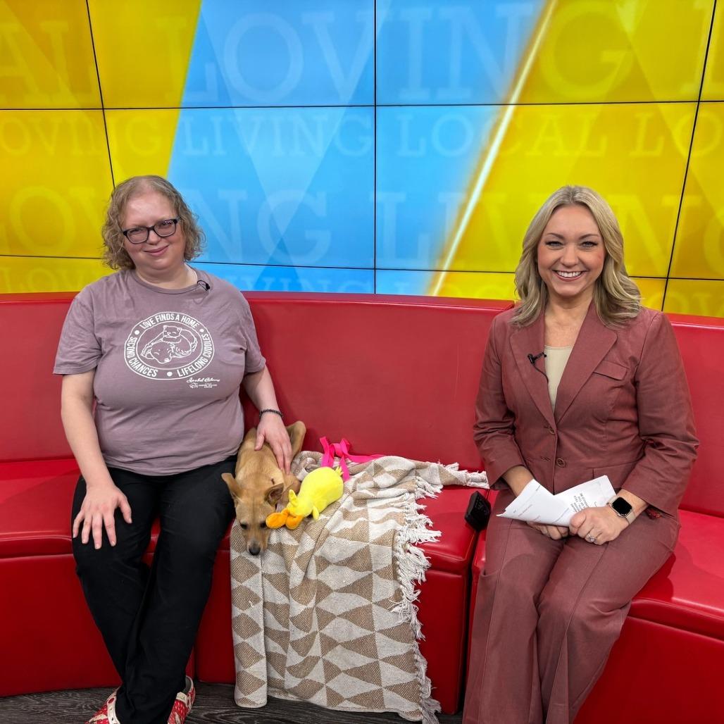 Lily — thumbnail 5