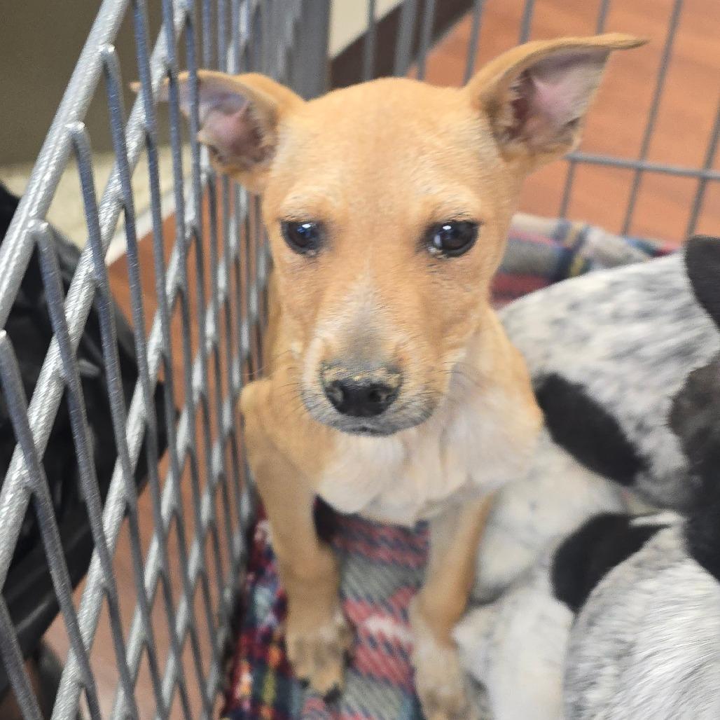 Lily — thumbnail 6