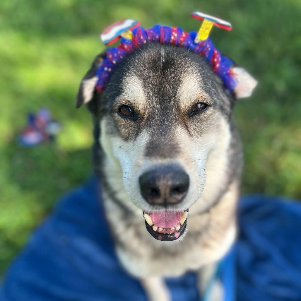 Huxley — thumbnail 2