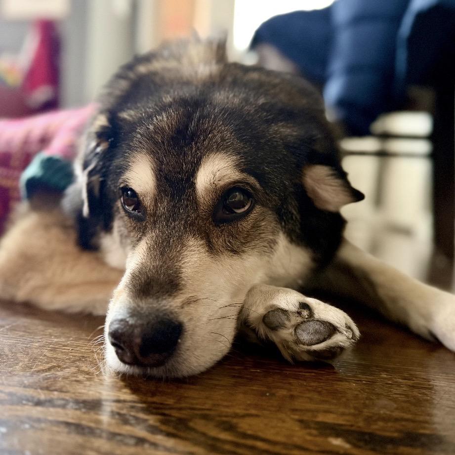 Huxley — thumbnail 3