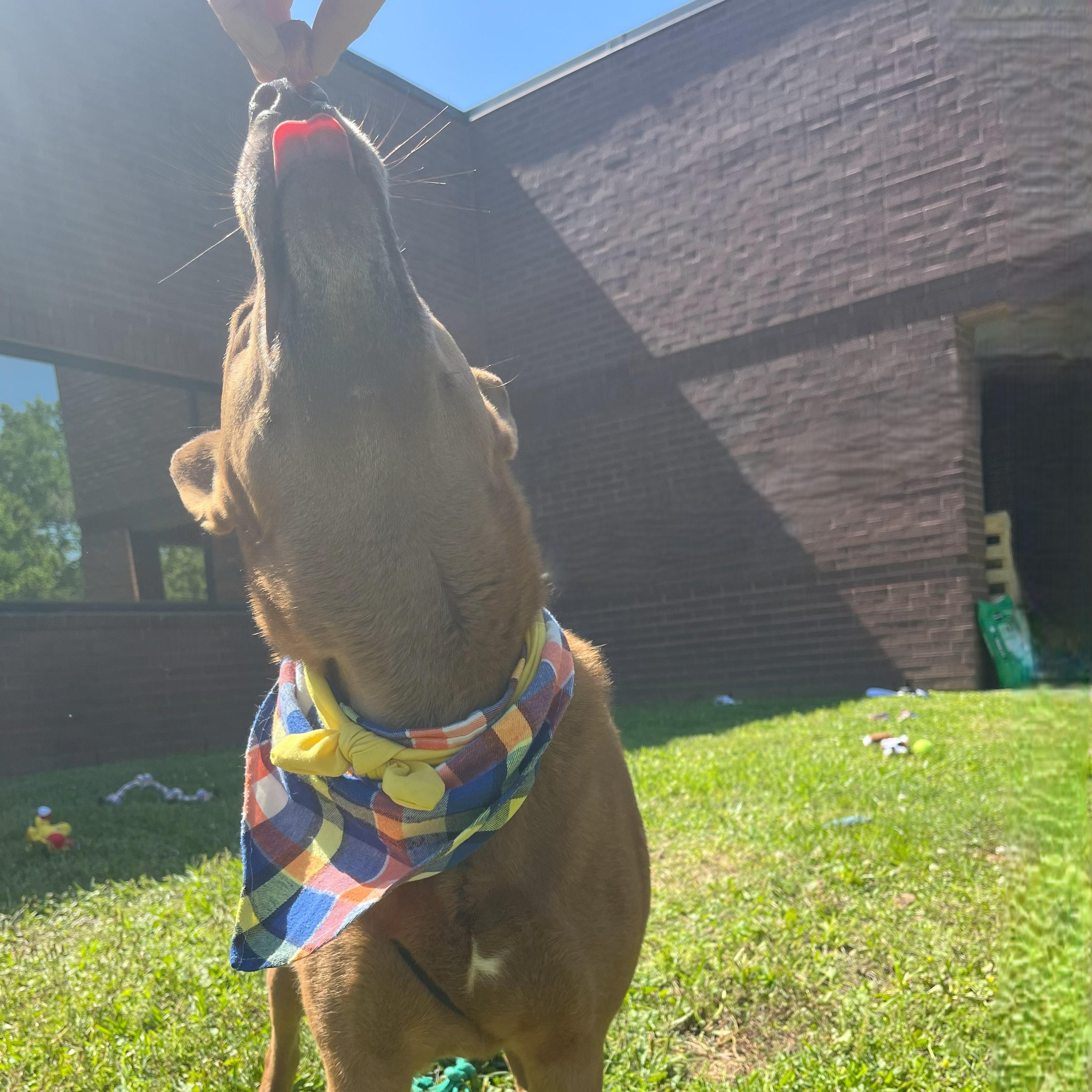 Fernando — thumbnail 5