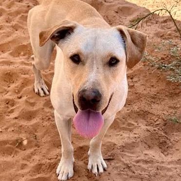 Baja Blast — thumbnail 2