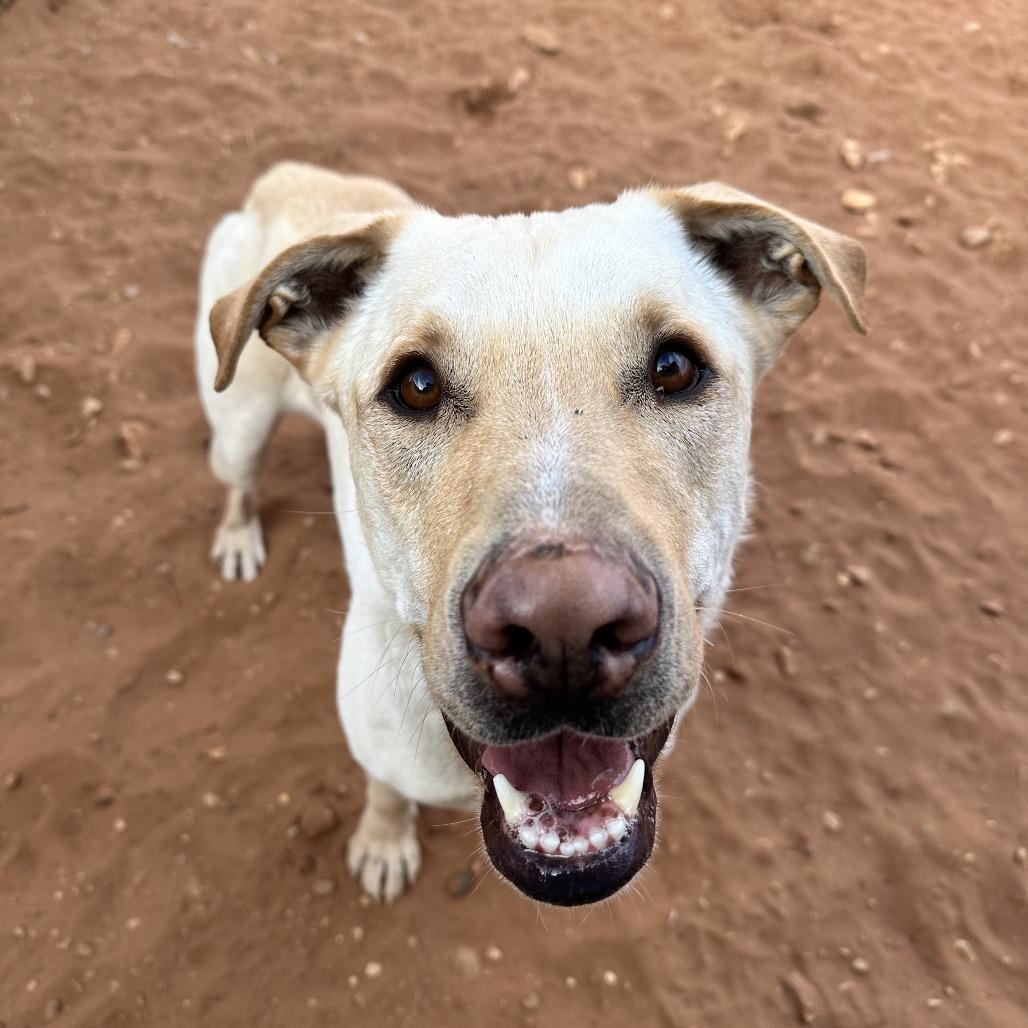 Baja Blast — thumbnail 5