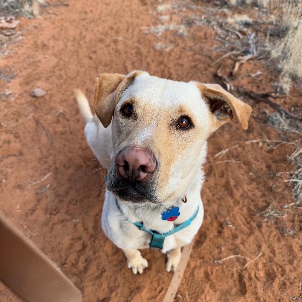 Baja Blast — thumbnail 6