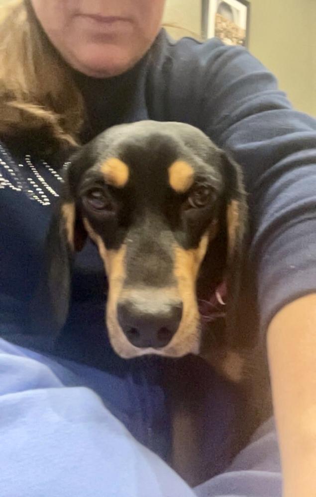 Maybelle thumbnail 6