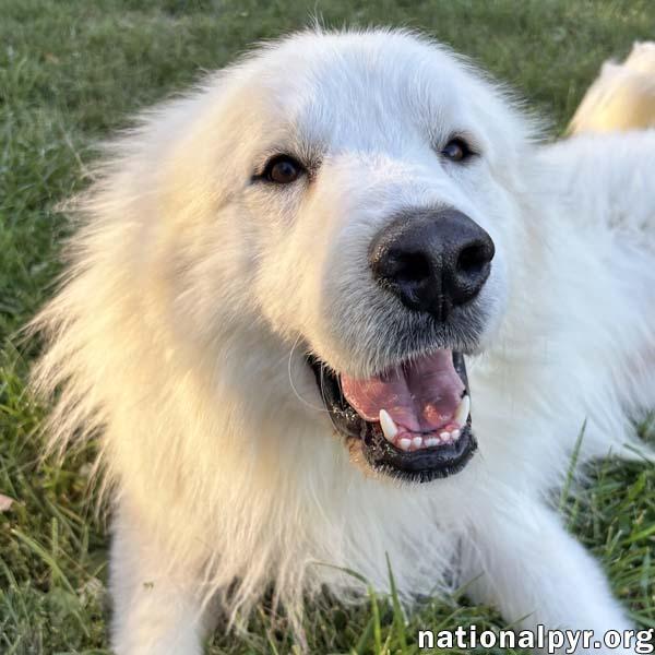 Casper in OH - The Friendliest Spirit!