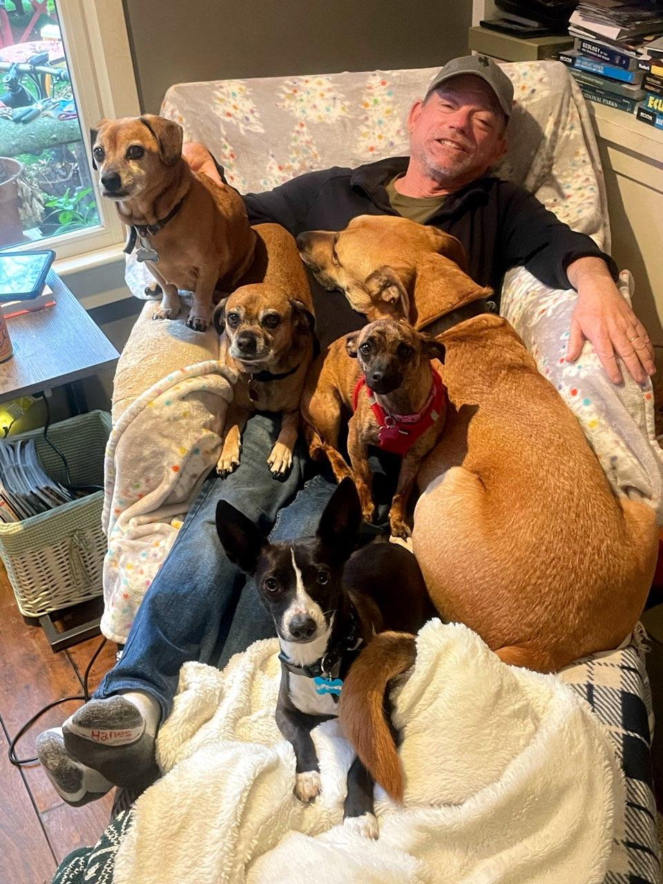 Enlarge Mojo Jojo, an adoptable mixed breed in Petaluma, CA image 6/6