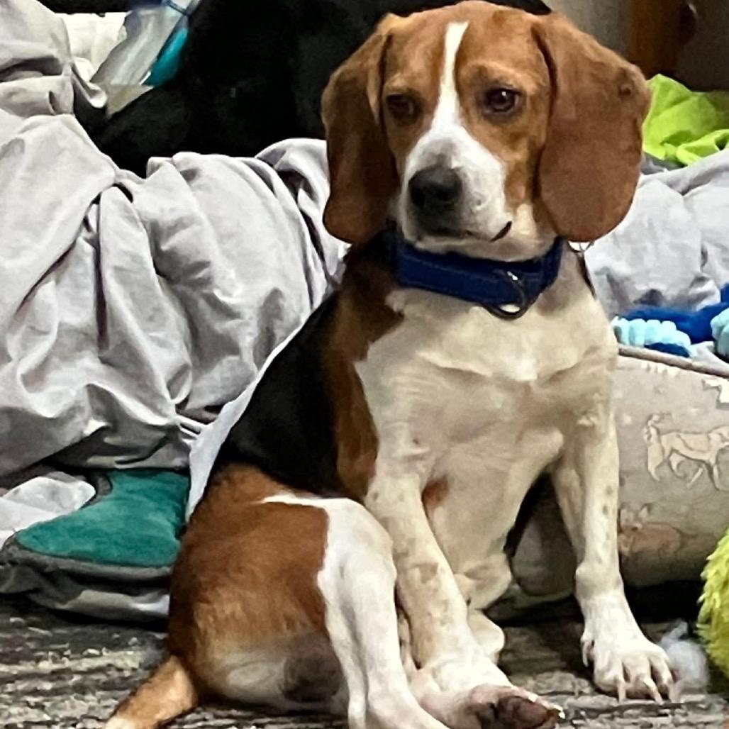 Drake — thumbnail 2