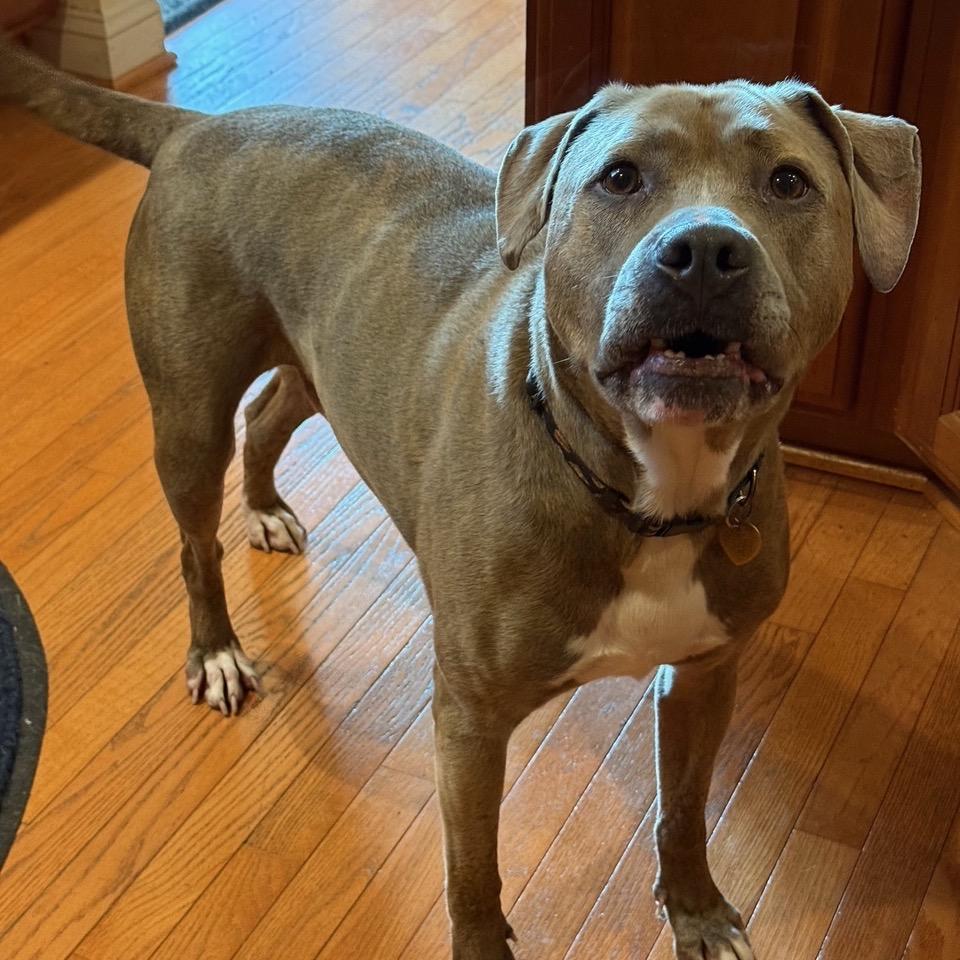 Ramsie — thumbnail 4