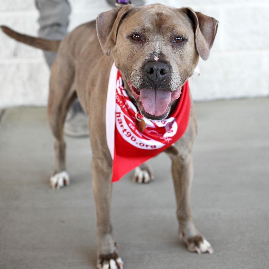 Ramsie — thumbnail 6