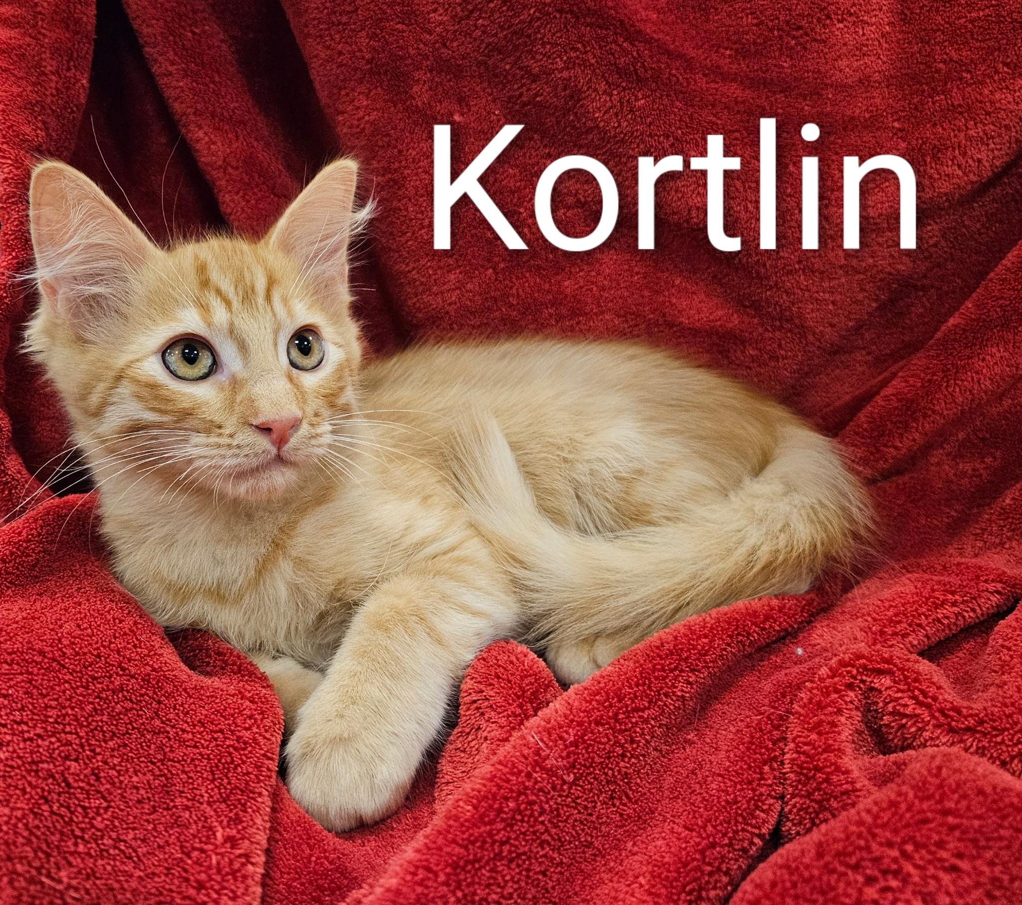 Kortlin - North Conroe Petsmart