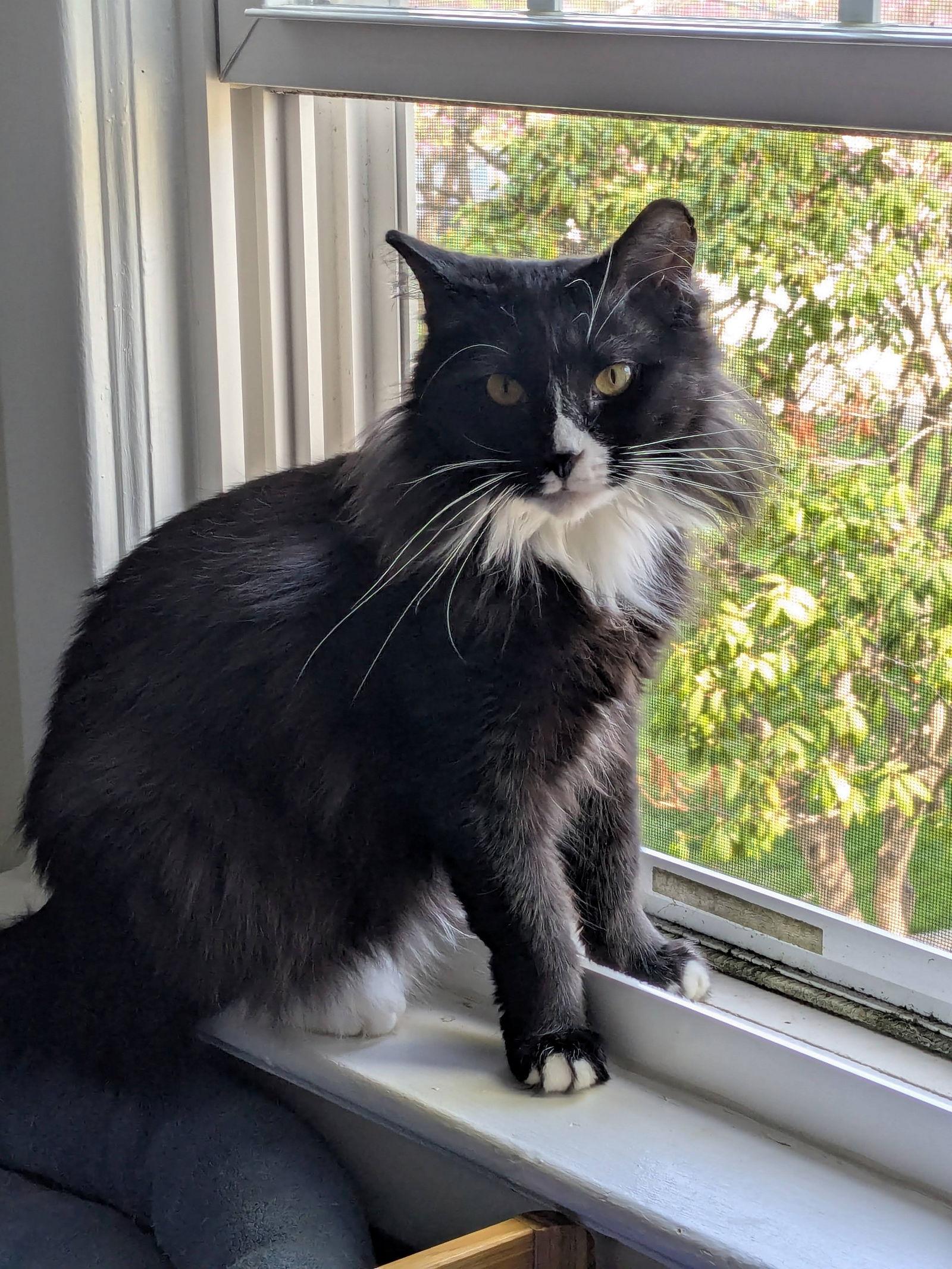 Esperanza thumbnail 2