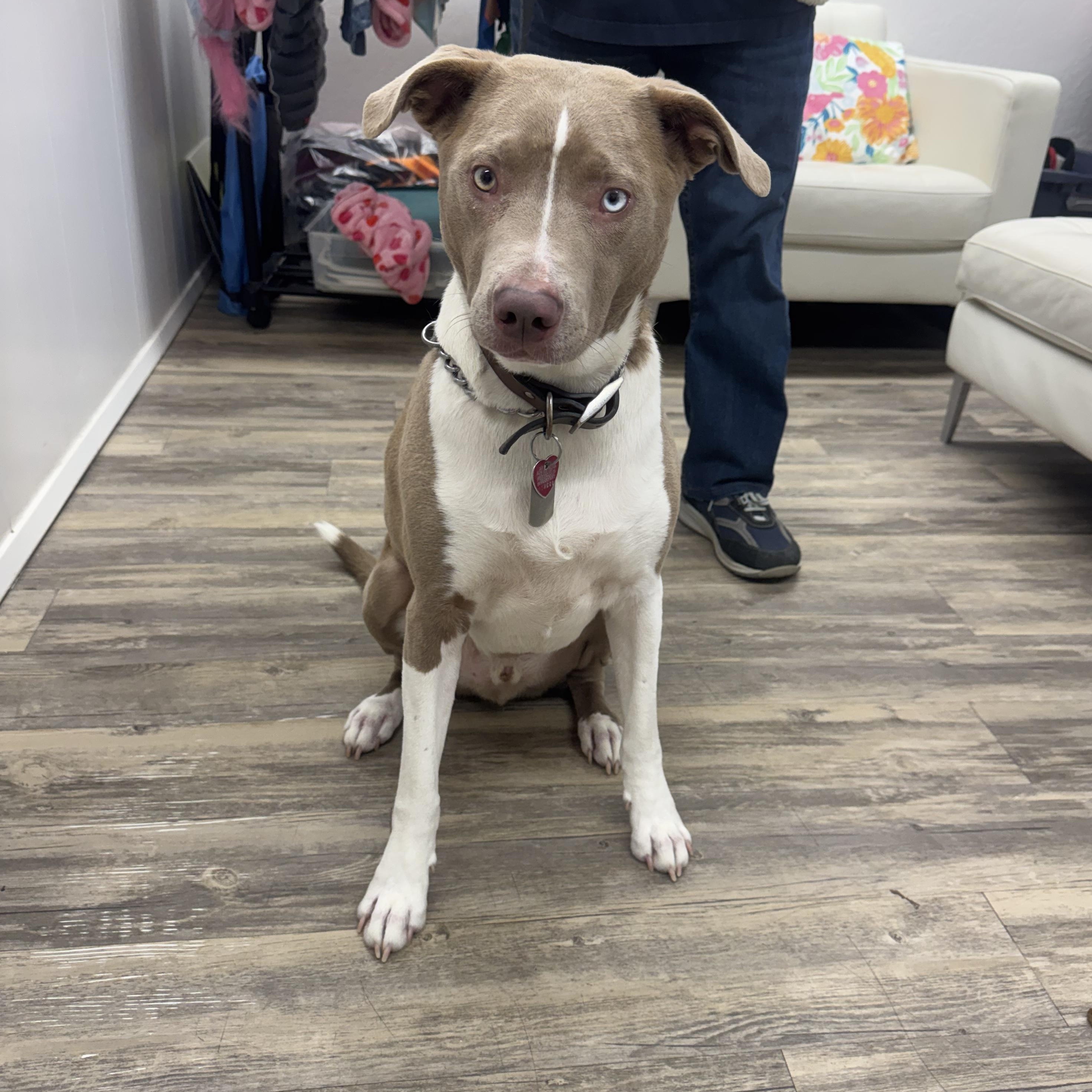 Charlie — thumbnail 5