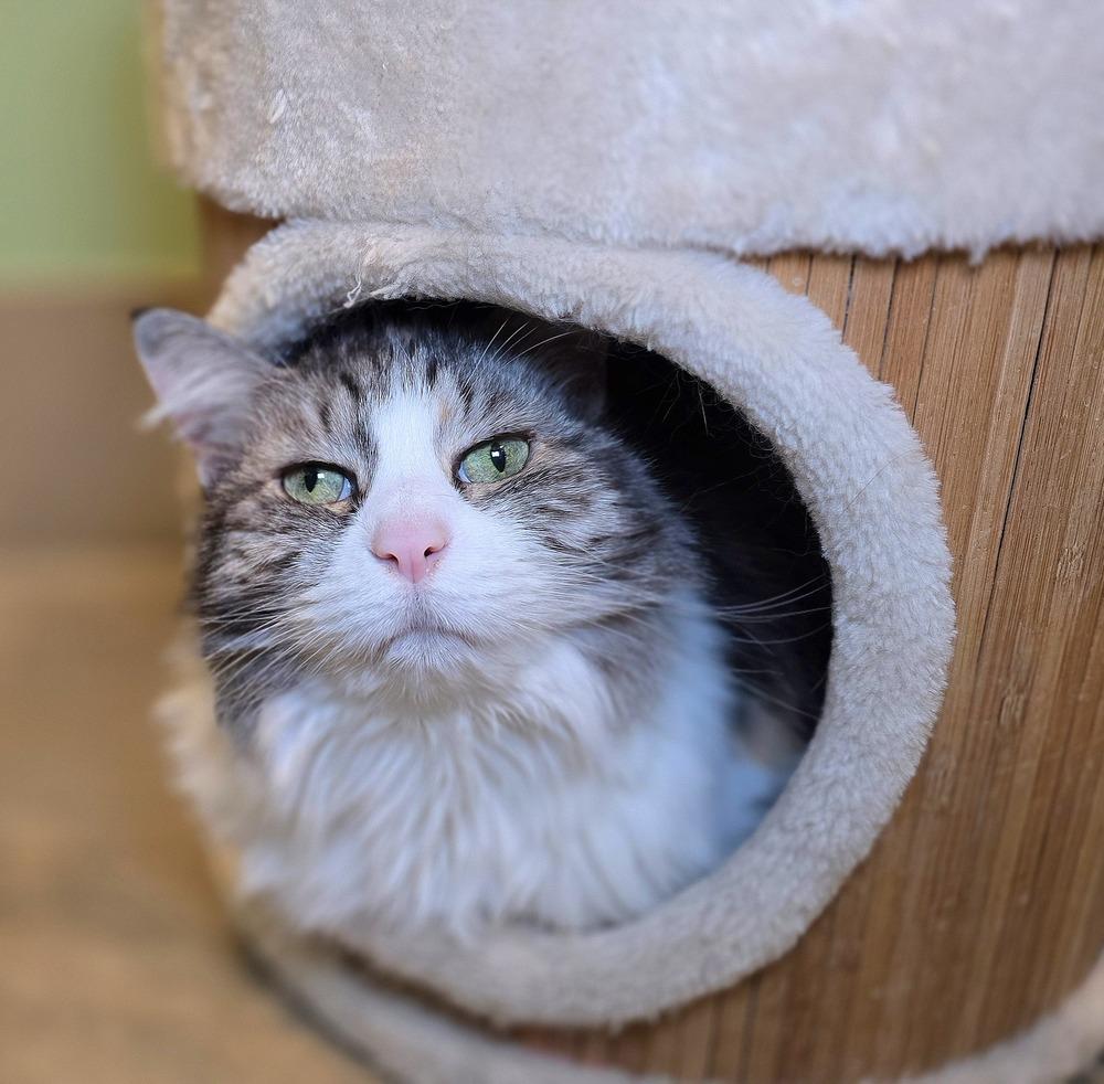 Nicky — thumbnail 2