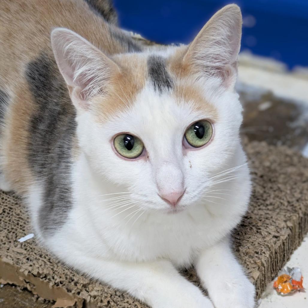 Helly R. — thumbnail 2