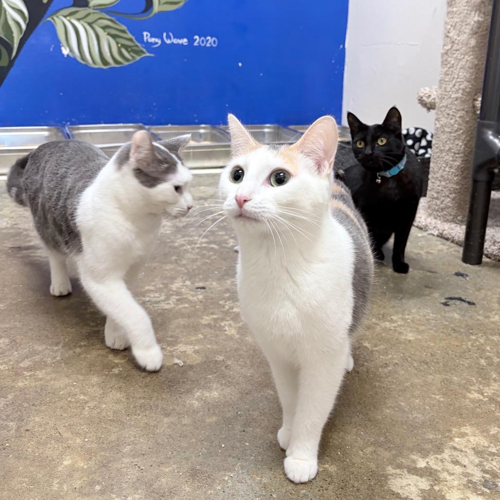 Helly R. — thumbnail 3