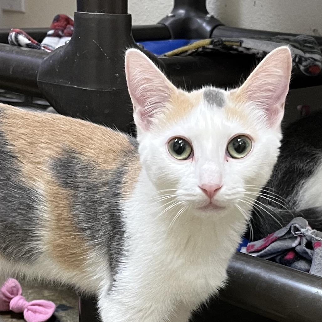 Helly R. — thumbnail 4