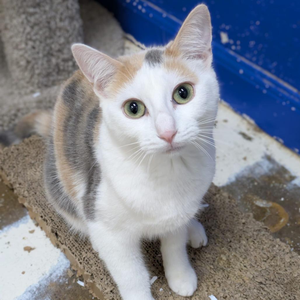 Helly R. — thumbnail 6