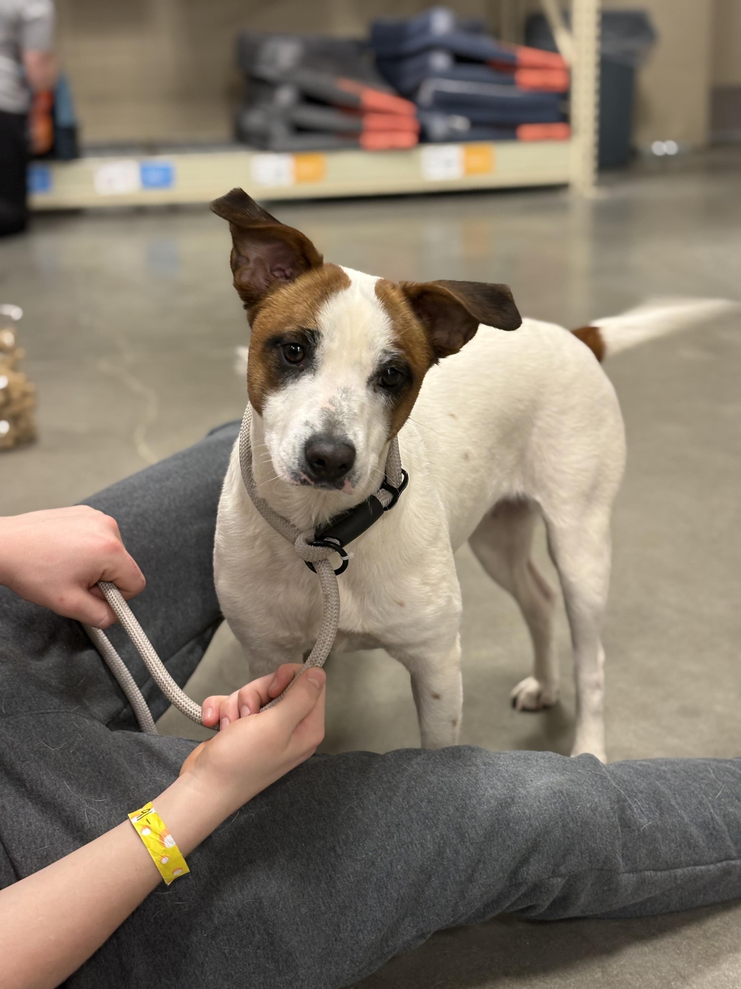 Monday Muffin — thumbnail 2