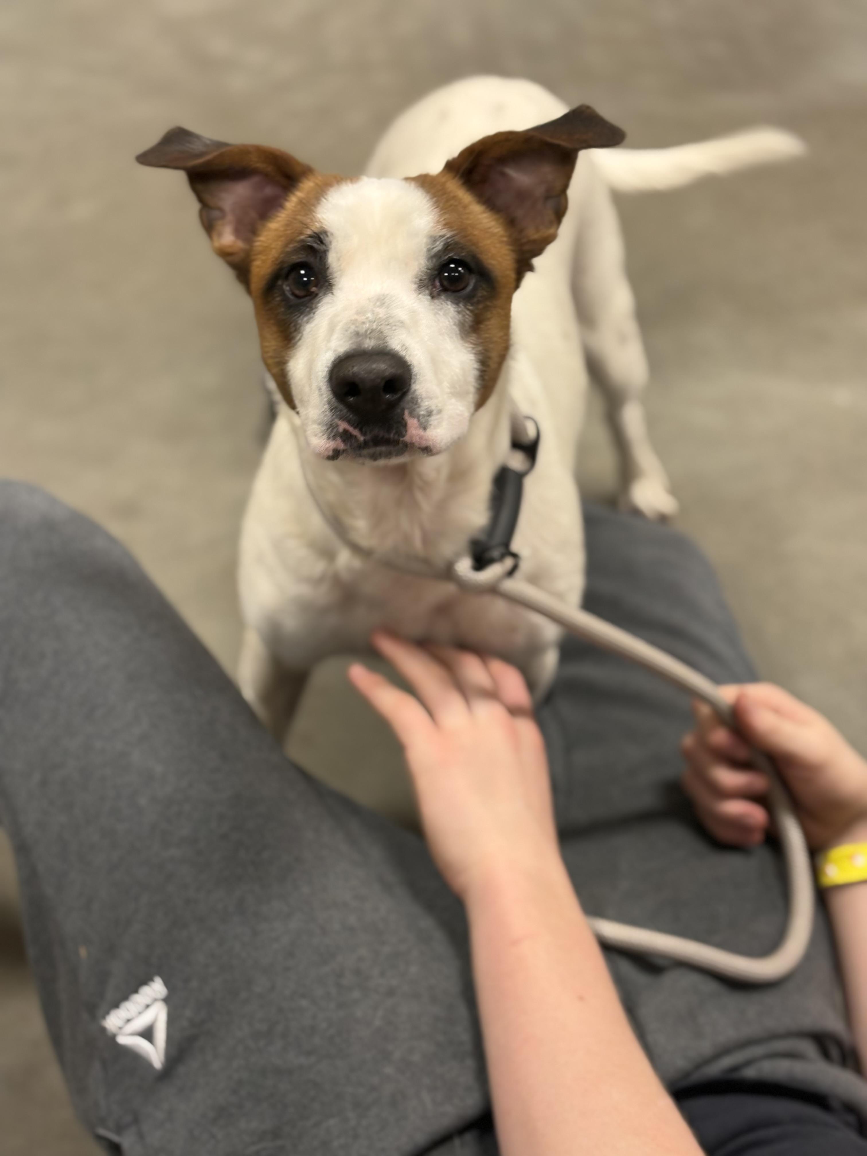 Monday Muffin — thumbnail 3