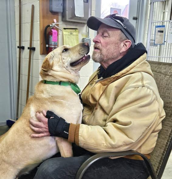Jane, a Adoptable mixed breed in West Milford, NJ image 6/6