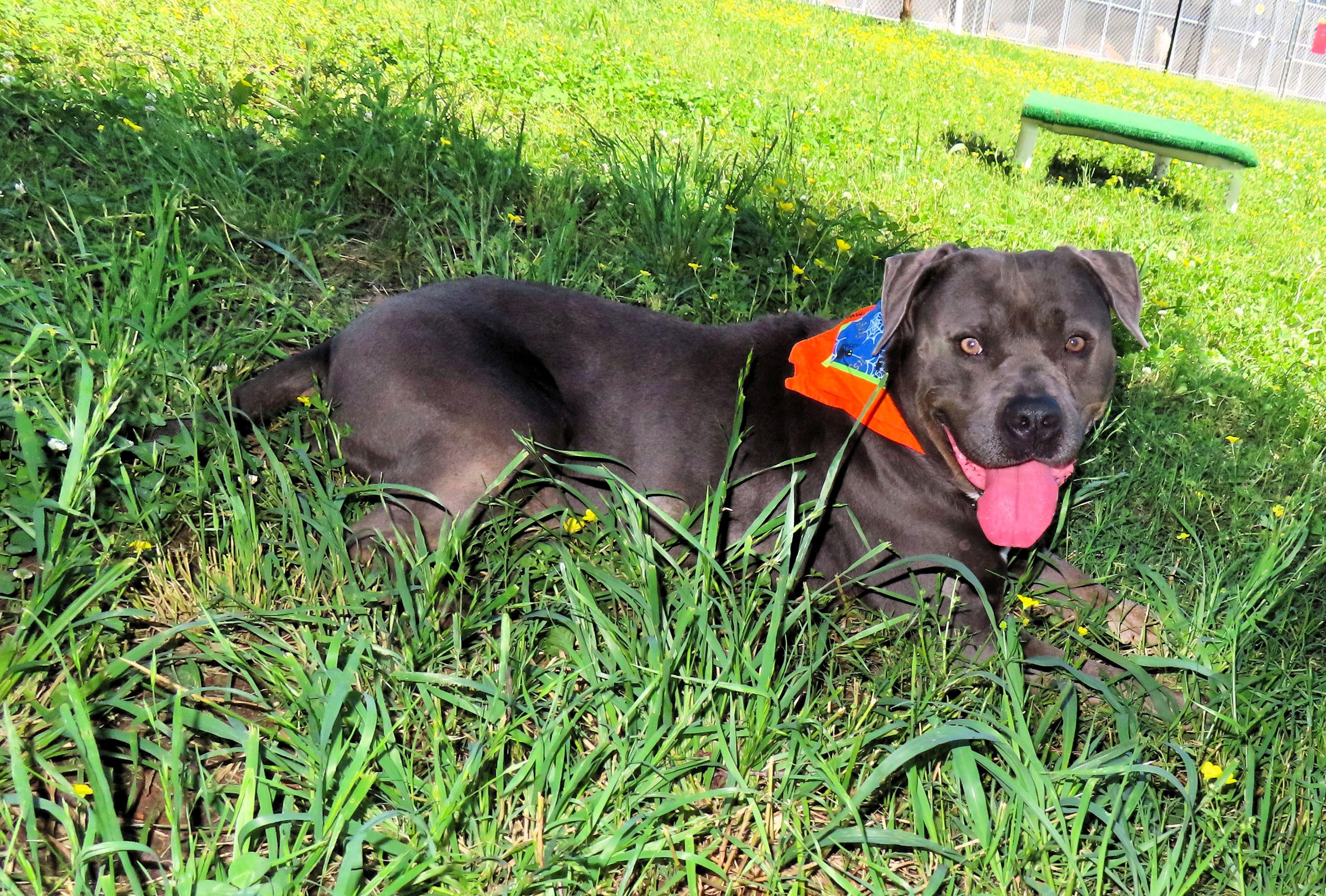 Arlo  7151 photo 5