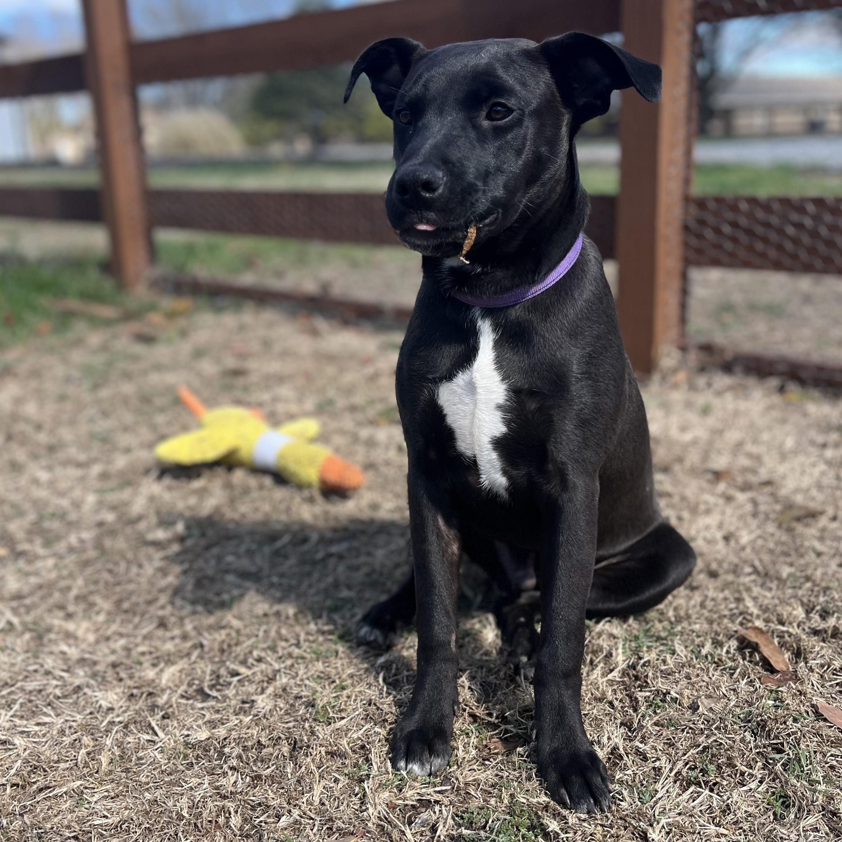 River — thumbnail 2