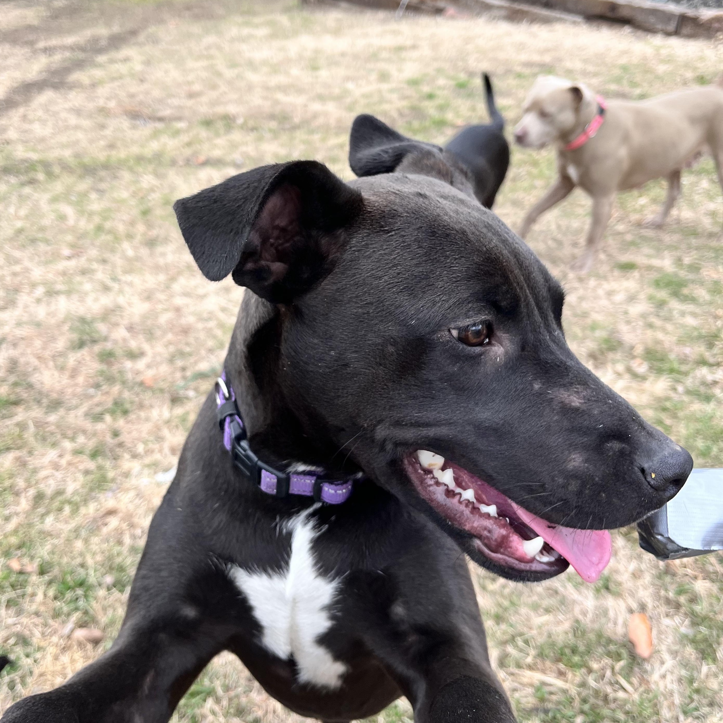 River — thumbnail 4