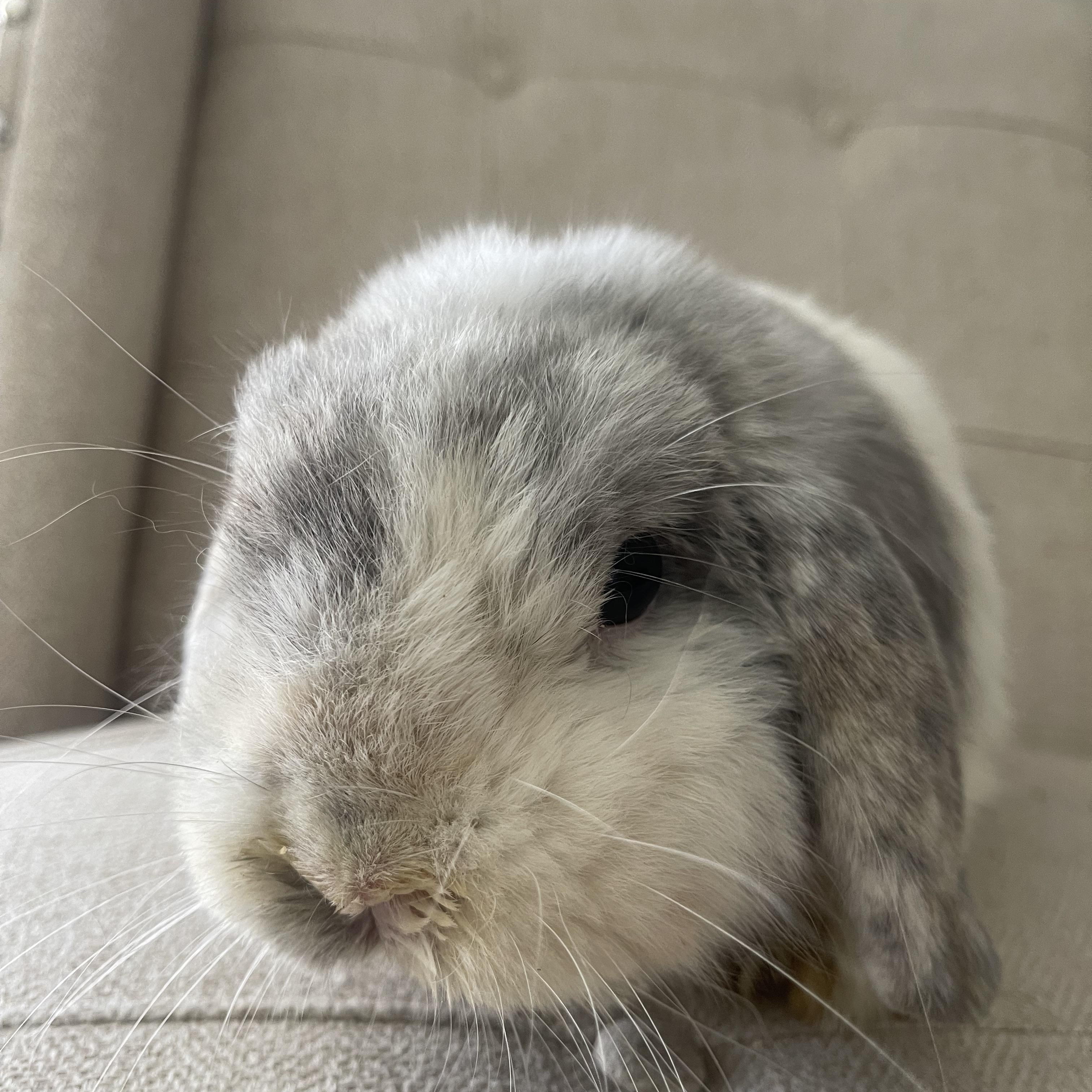 Arthur