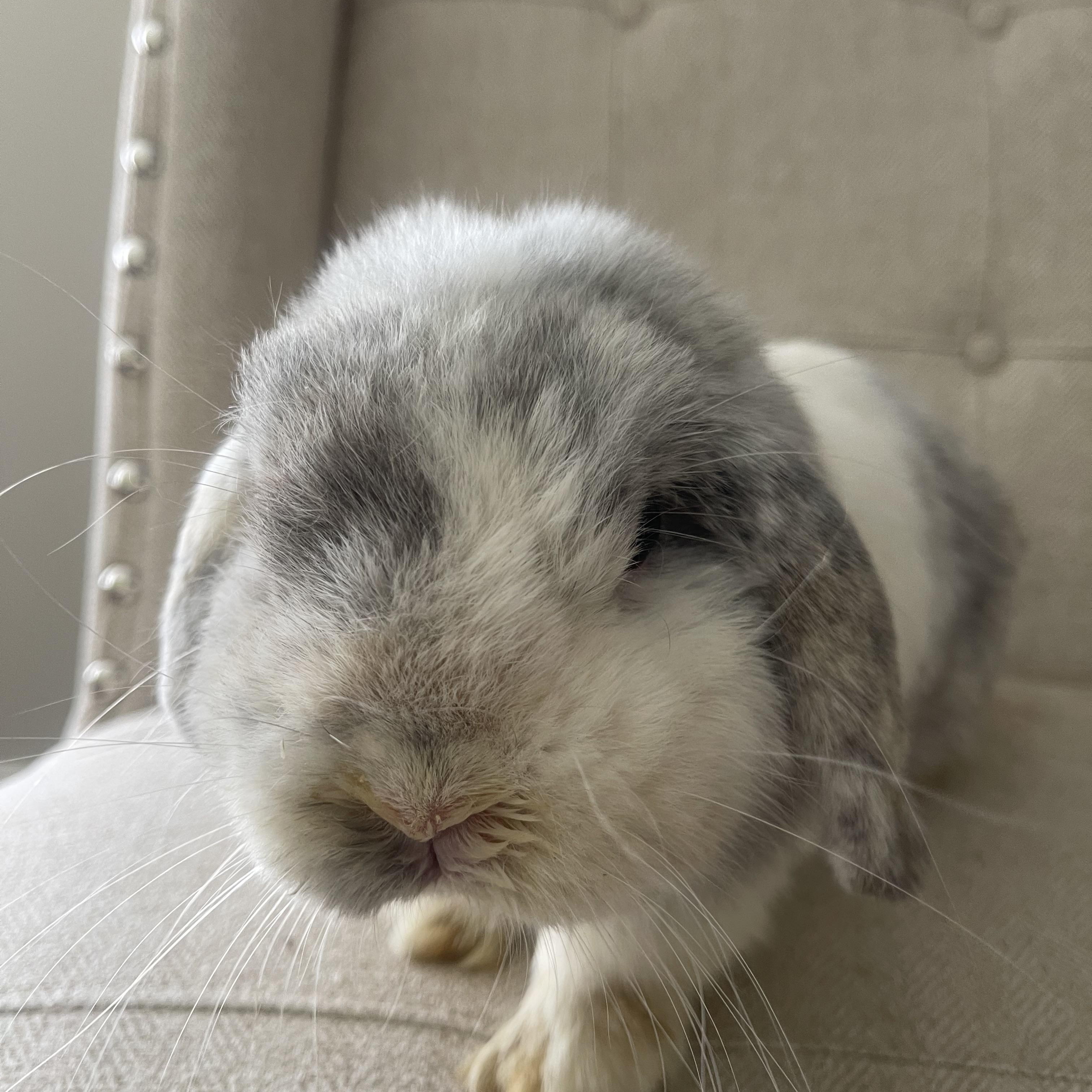 Arthur photo 3