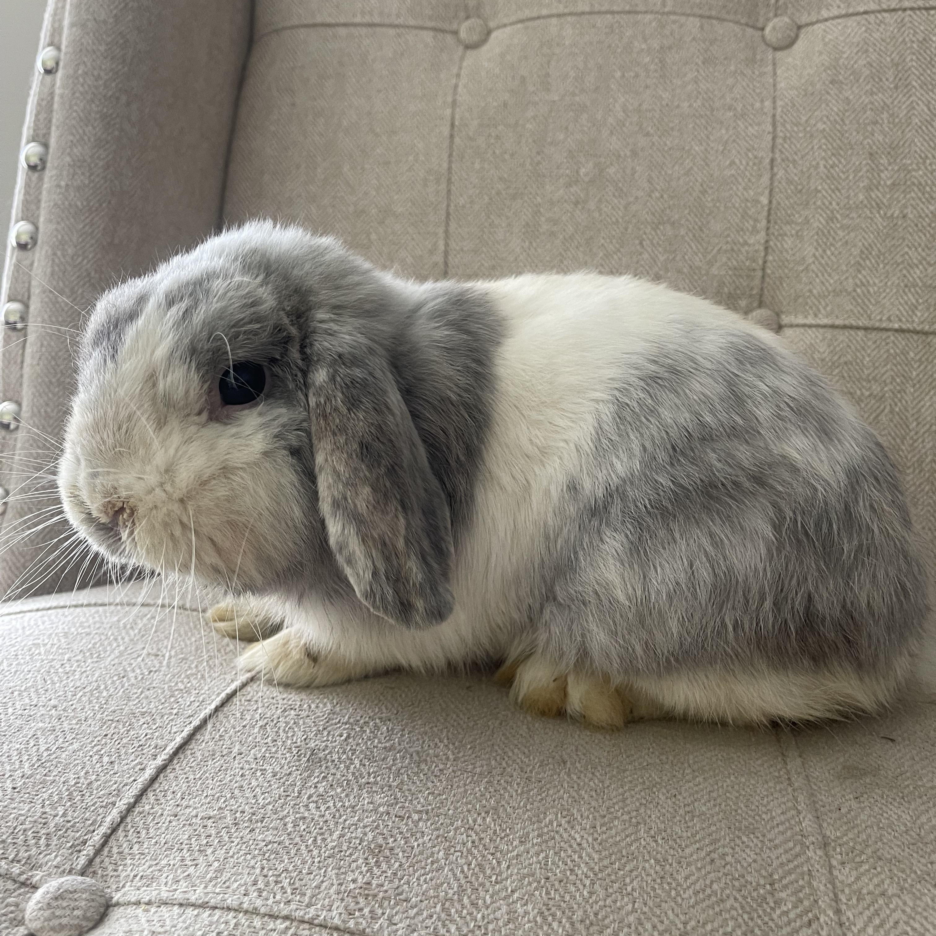 Arthur photo 2