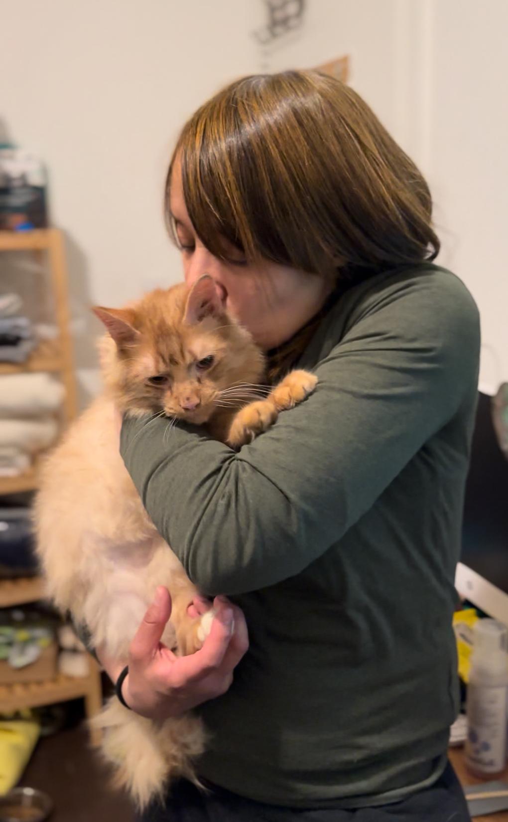 Enlarge Zeus, an adopted mixed breed in New York, NY image 5/5