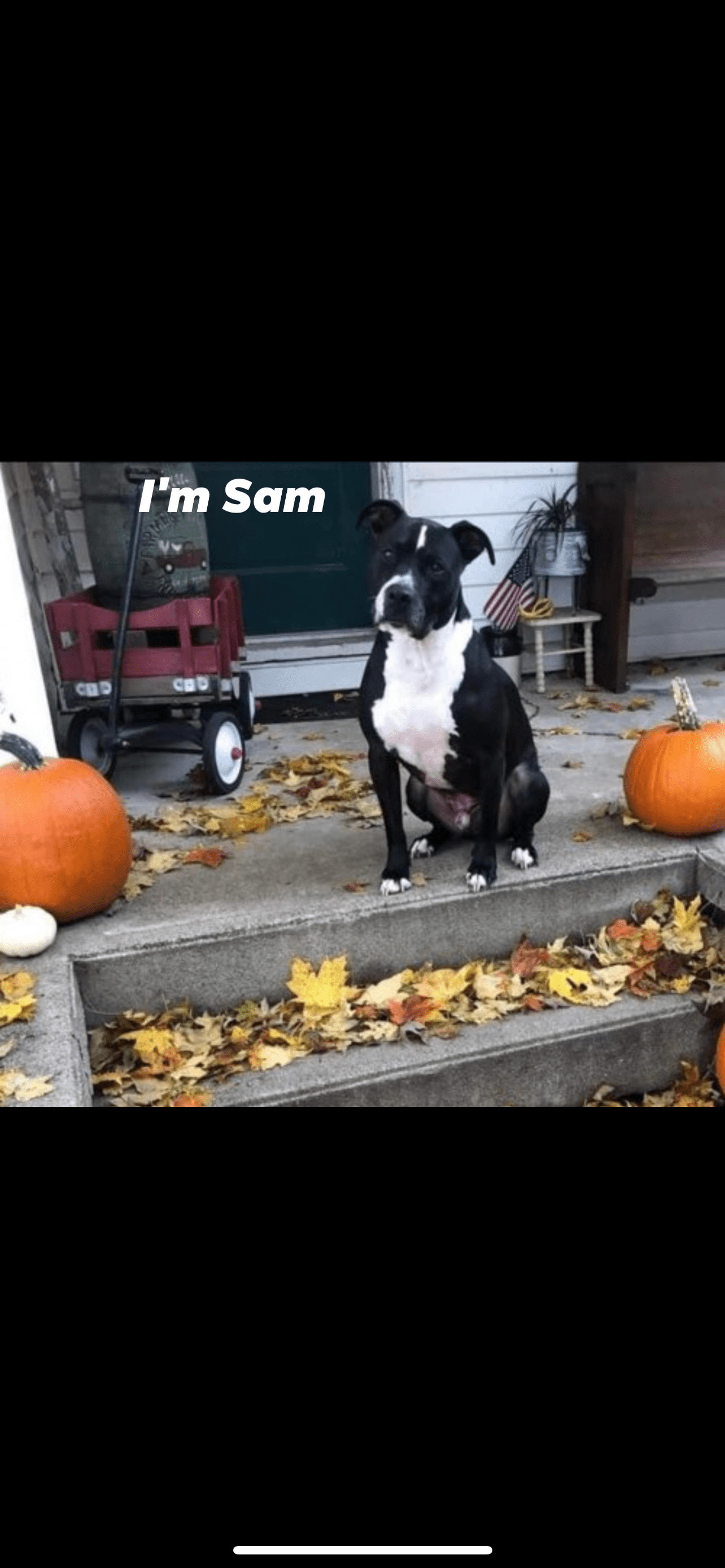 Sam — thumbnail 7
