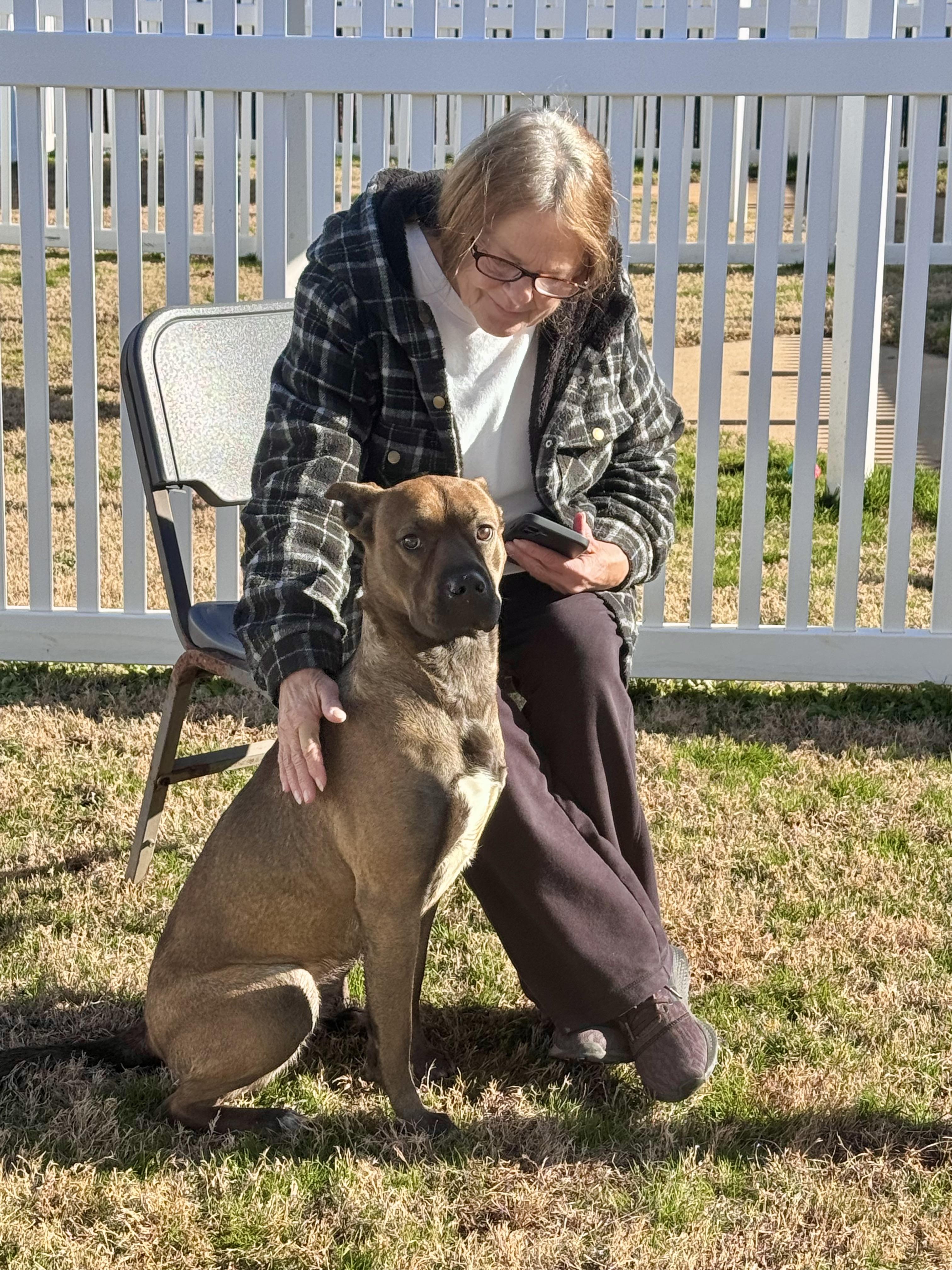 Coke, a Adoptable mixed breed in Paramus, NJ image 6/6