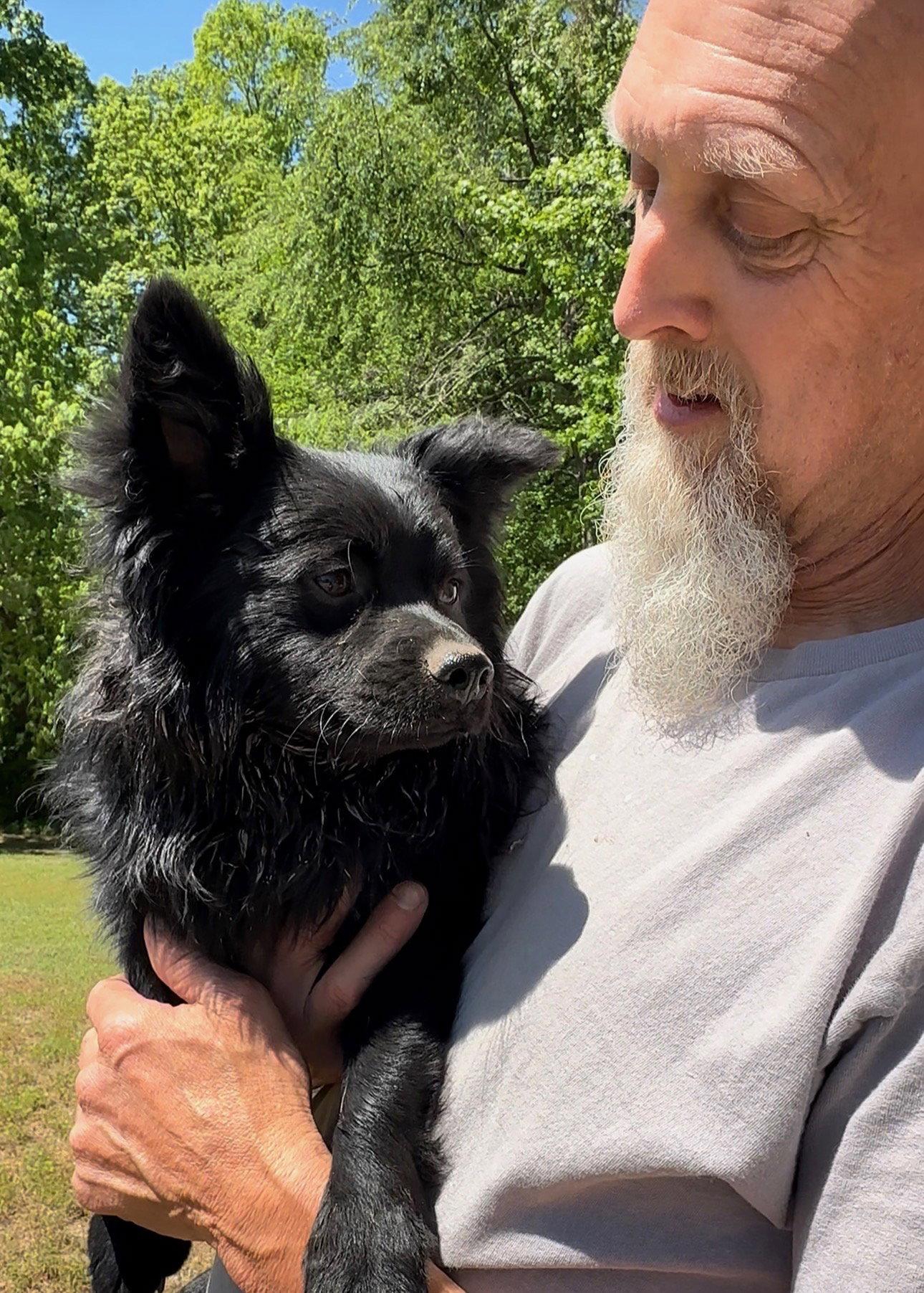 Sergio, a Adopted Pomeranian in Thomasville, NC image 3/3