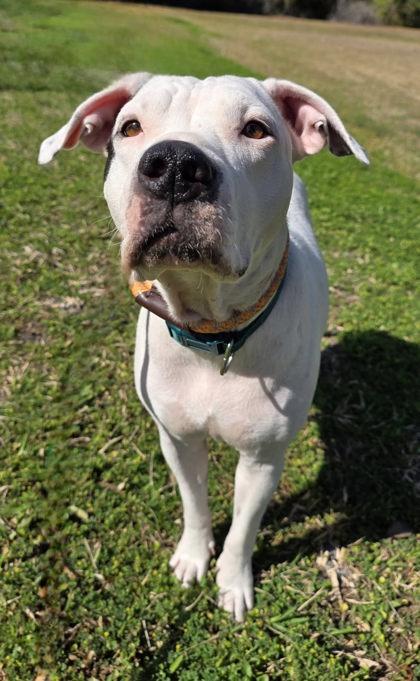 Rihanna — thumbnail 3