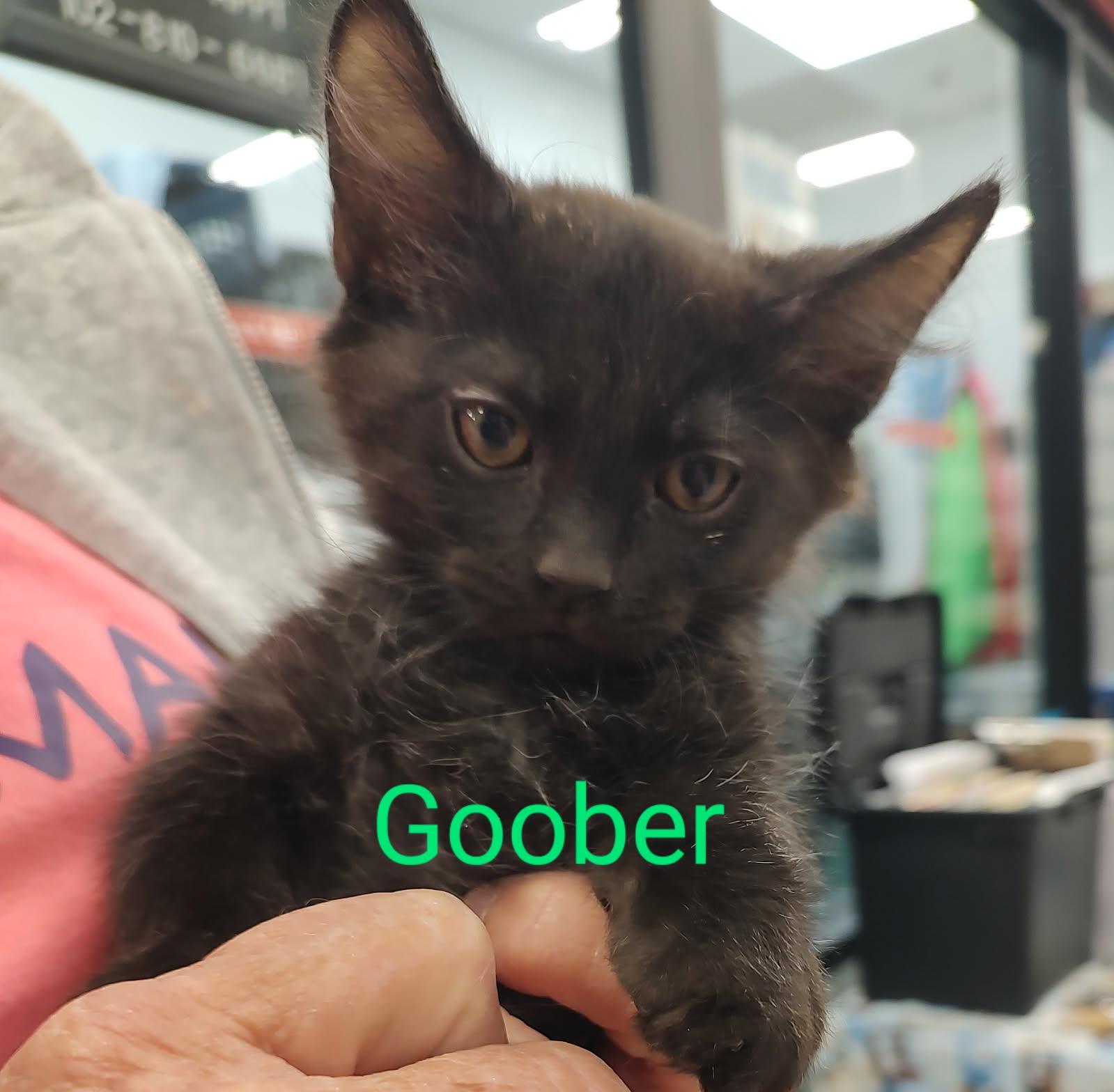 Goober