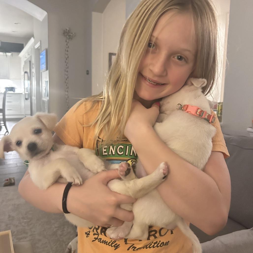 Saint Nick, a Adoptable mixed breed in Escondido, CA image 5/6