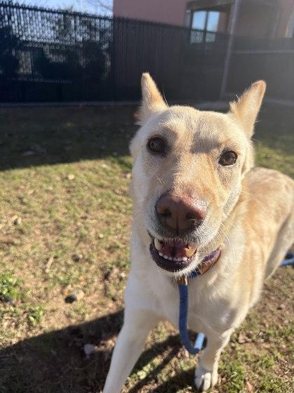 Claire** — thumbnail 2