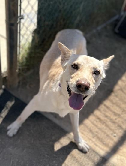 Claire** — thumbnail 3