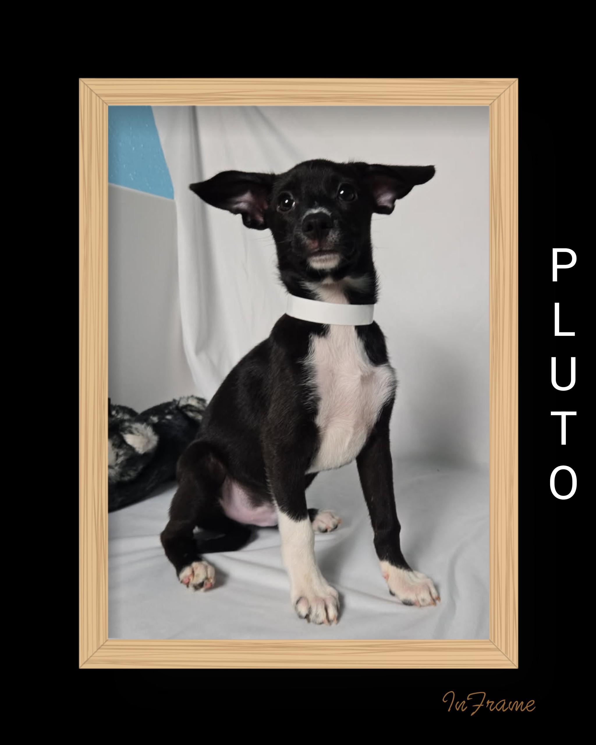 Pluto thumbnail 6