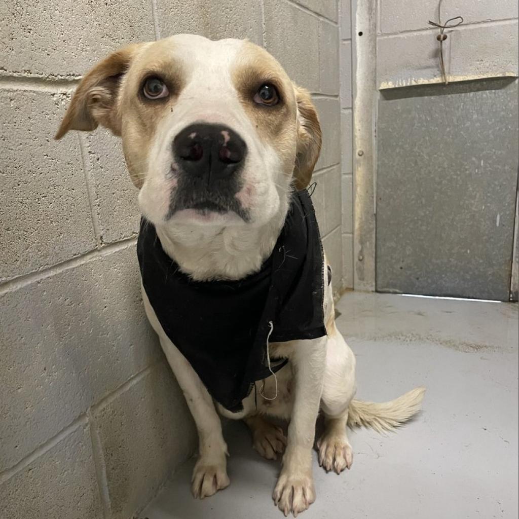 Folsom — thumbnail 2