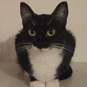 Star — thumbnail 4