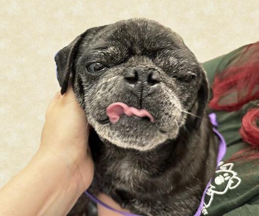 LINK* — thumbnail 2