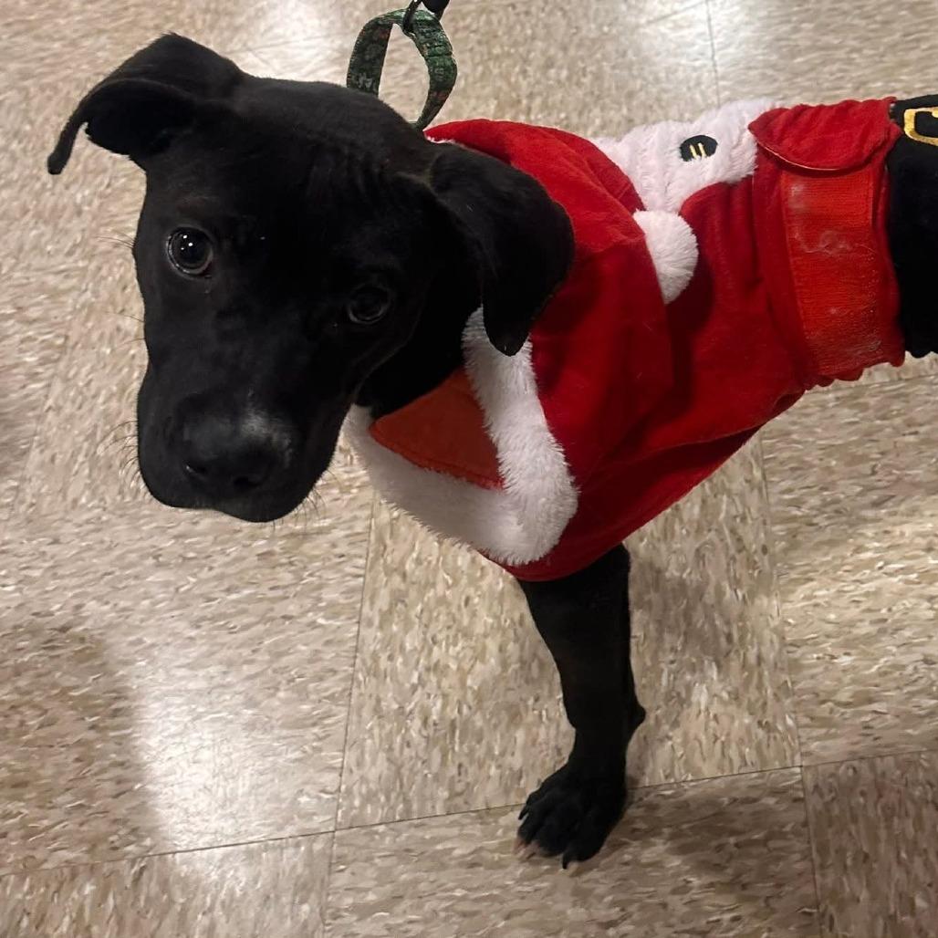 Oakley — thumbnail 3