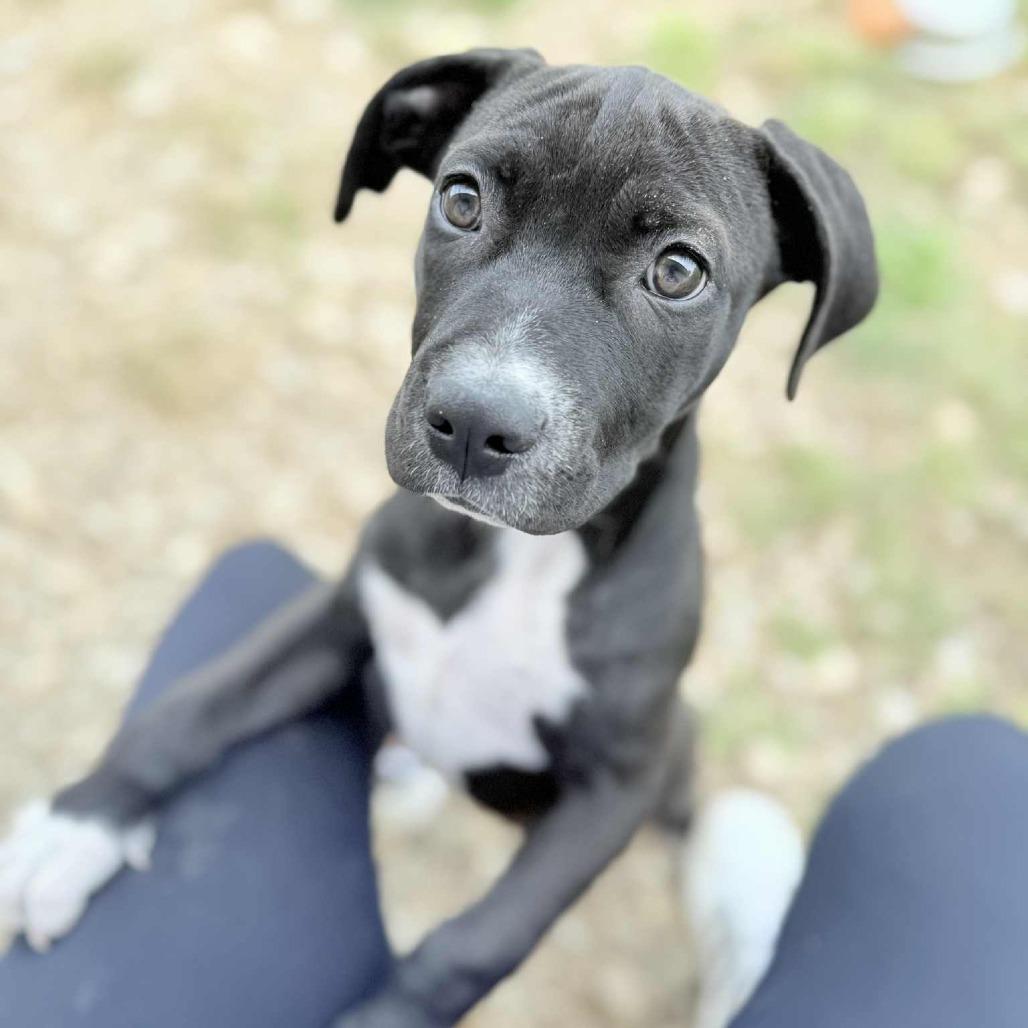 Oakley — thumbnail 5