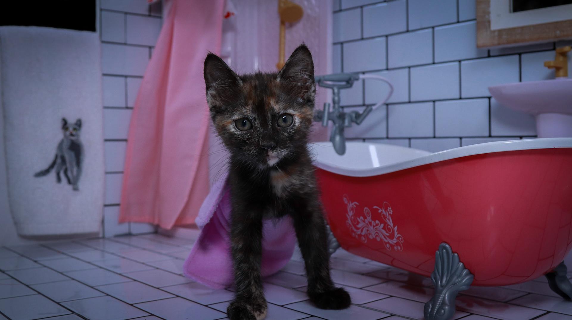 Rosalita